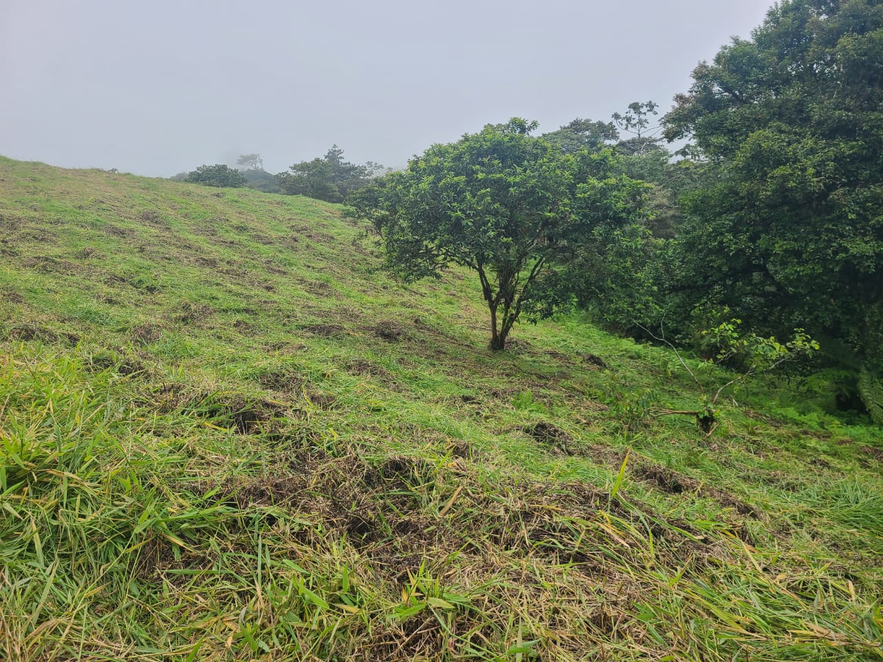 Stunning 12.59-Acre Lot with Volcano Views in Nuevo Arenal  photo 12