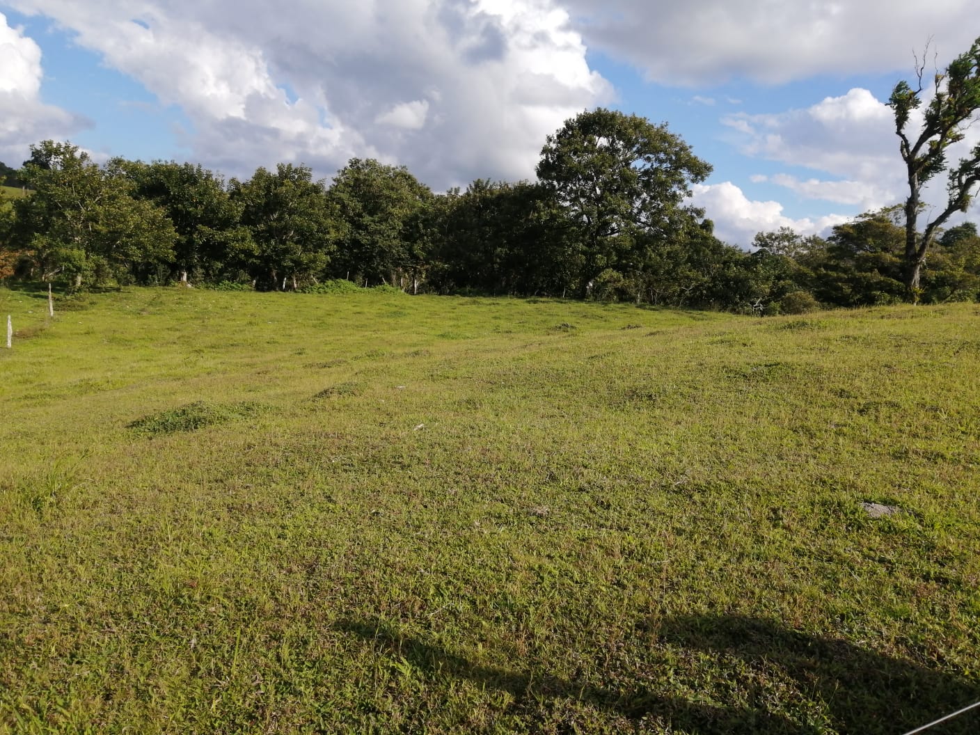 16-Hectare Farm with a Private Well and Views of Lake Arenal in Nuevo Arenal photo 20