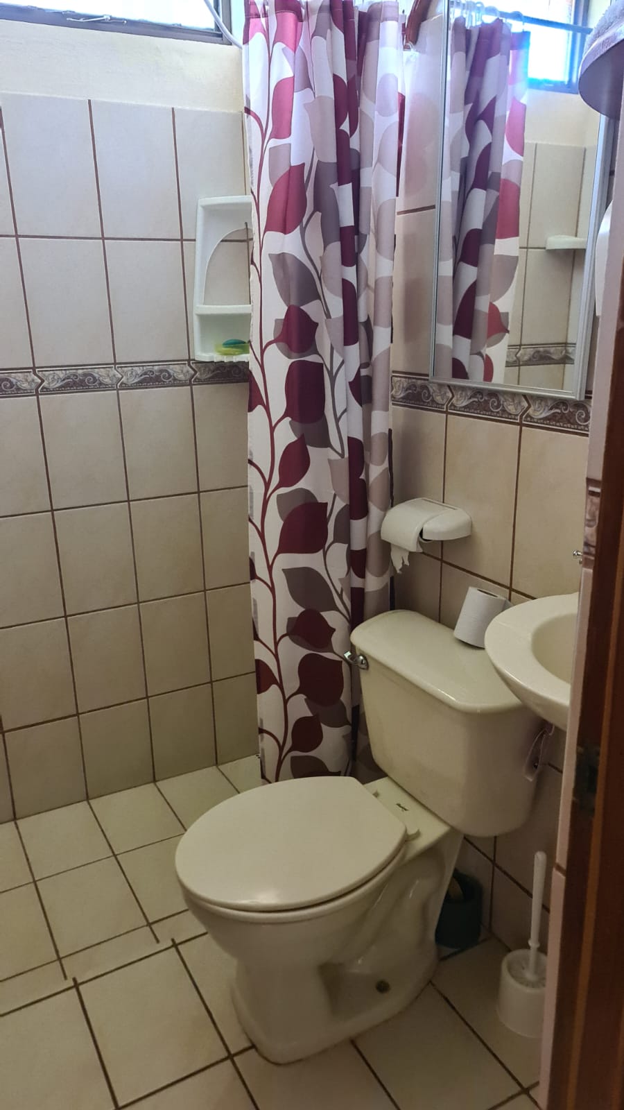 Beautiful, LAKE ACCESS property in Parcelas Santa Maria, Nuevo Arenal  photo 20