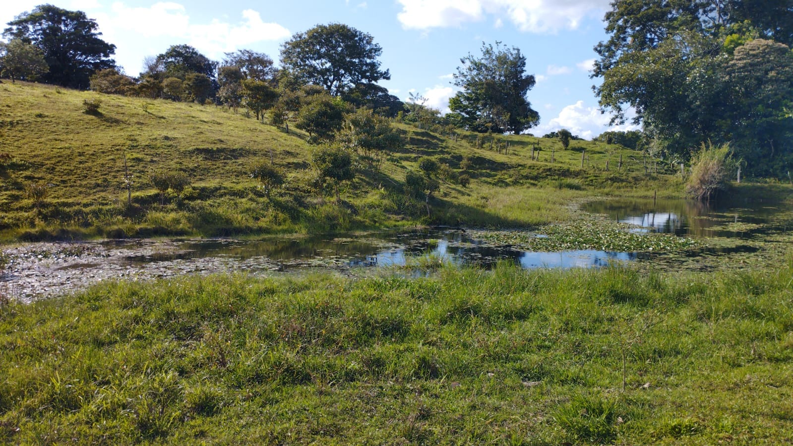 16-Hectare Farm with a Private Well and Views of Lake Arenal in Nuevo Arenal photo 9