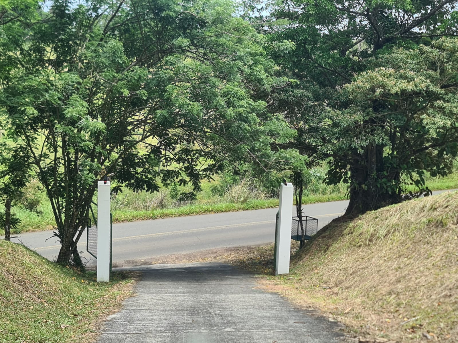 2236 M2 (0,55 acres) Lot with Huge Volcano Views in El Aguacate photo 10