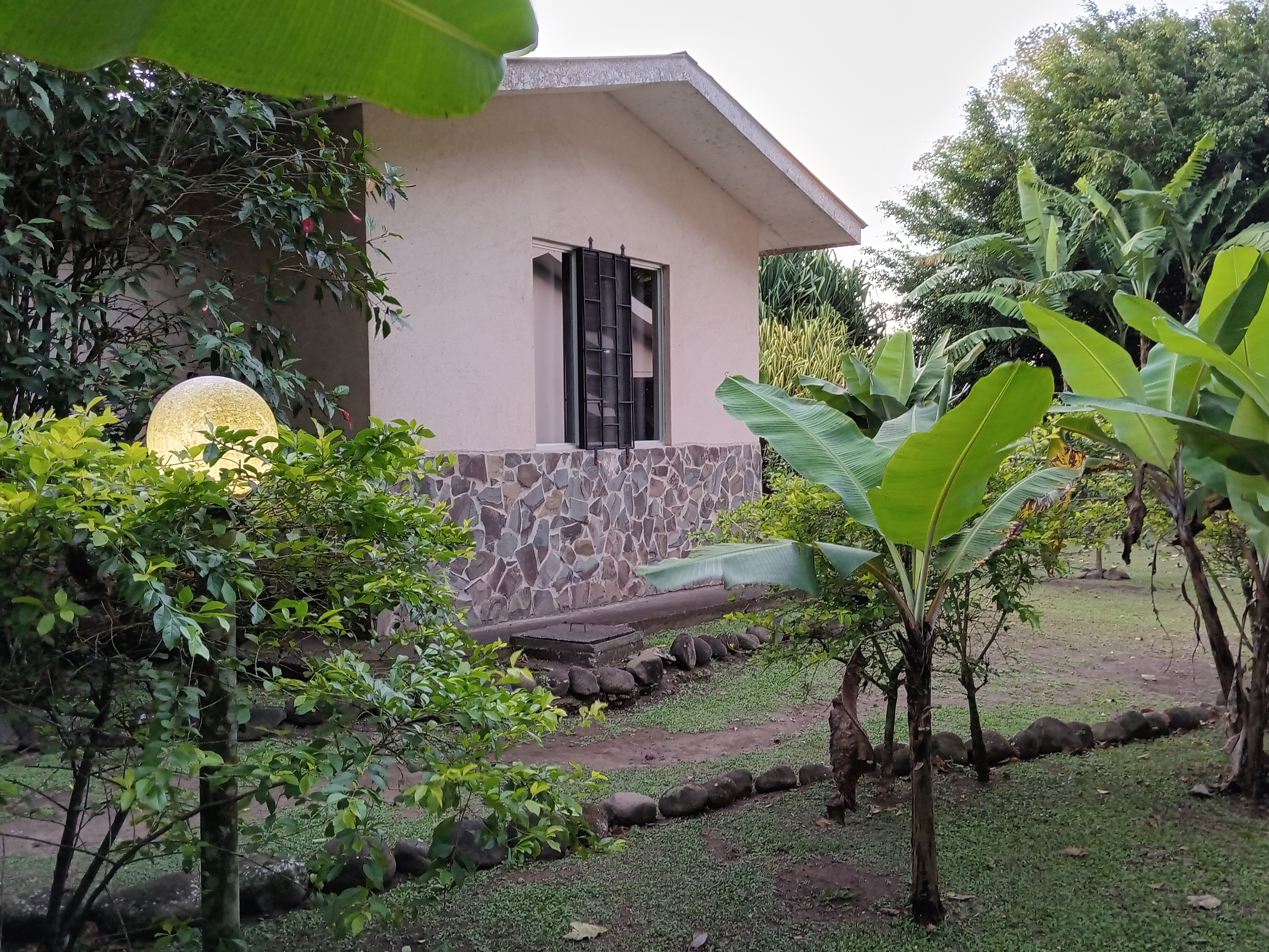 Commercial property: main house + 5 cabins + greenhouse + stable in Cinco Esquinas  photo 28