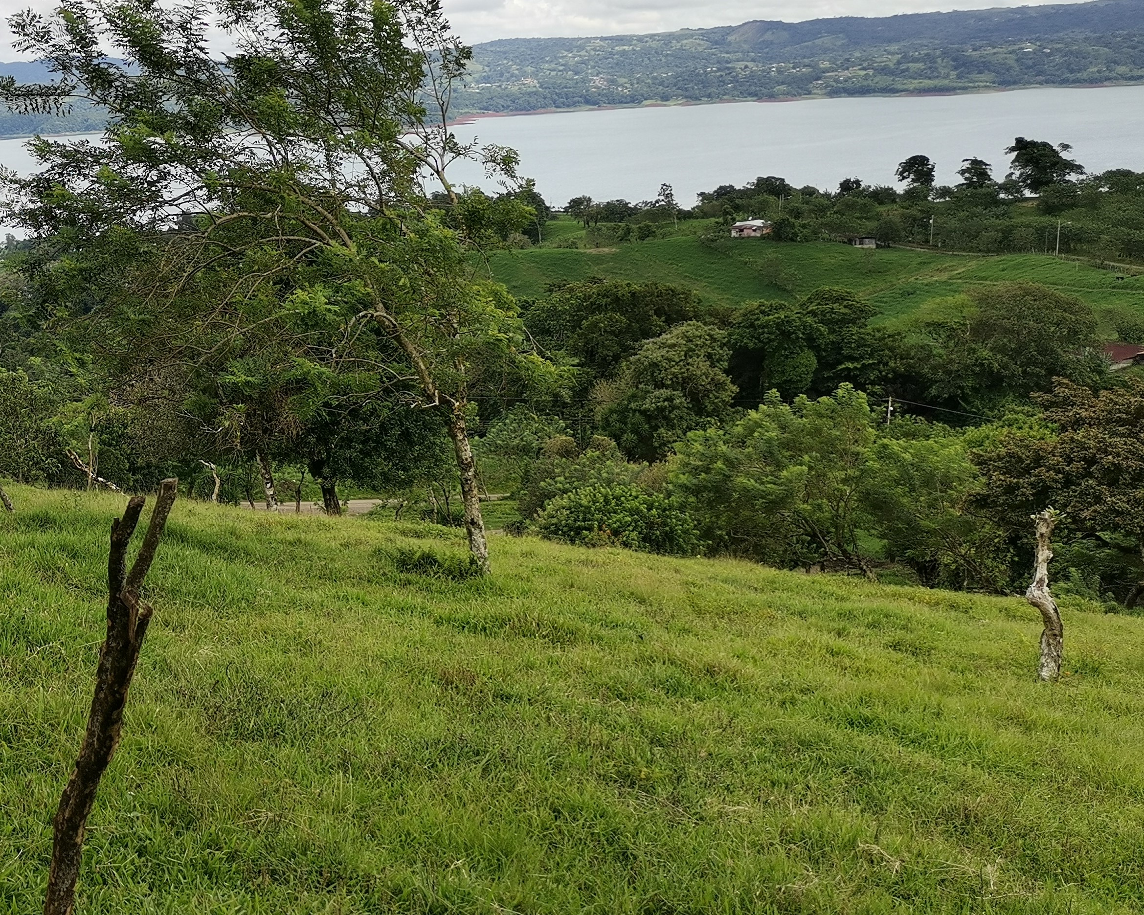 Magnificent 24,811m2 Lake and Volcano View Parcel with Huge Views in Tronadora photo 22