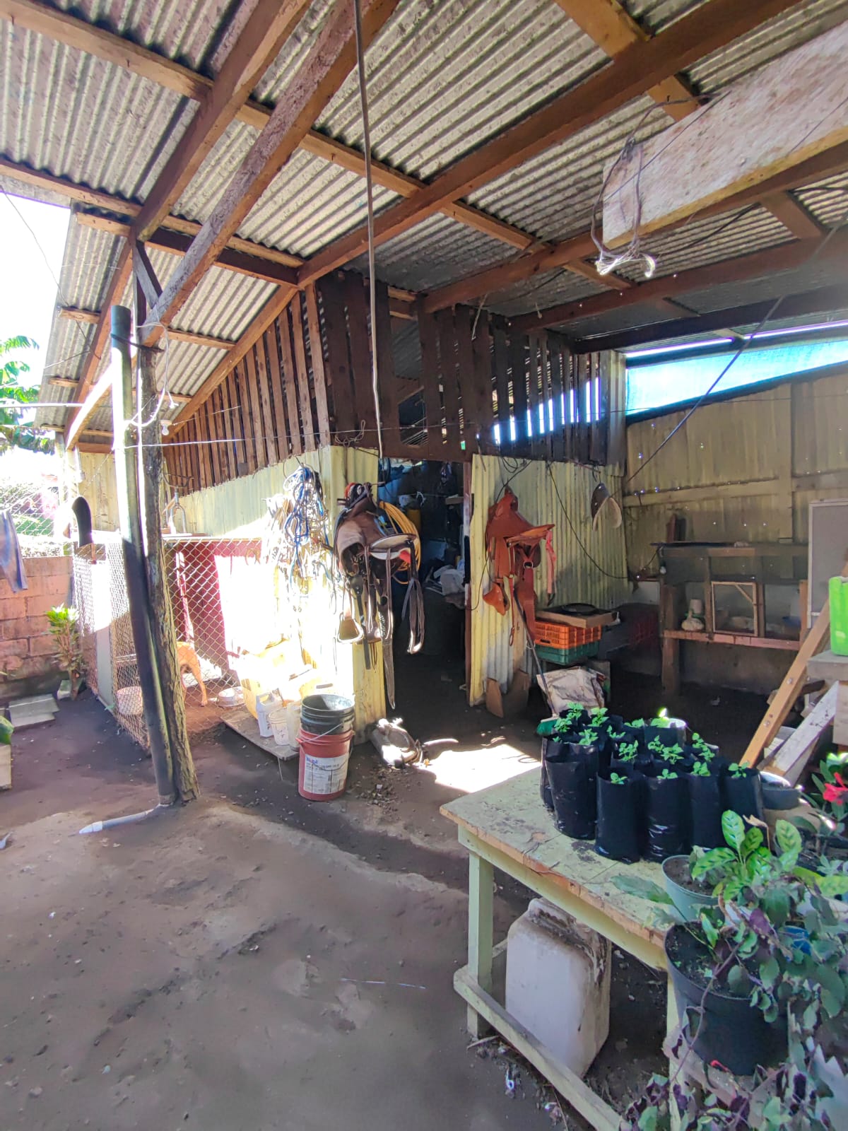 Fantastic Lake View Income Property w/ 3 houses in San Luis, Tilarán photo 21