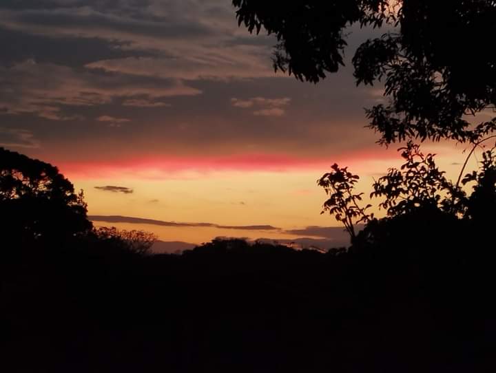 Expansive 30,229 m² (7.46 Acre) Lot w/ House & Scenic Views in Tierras Morenas photo 45