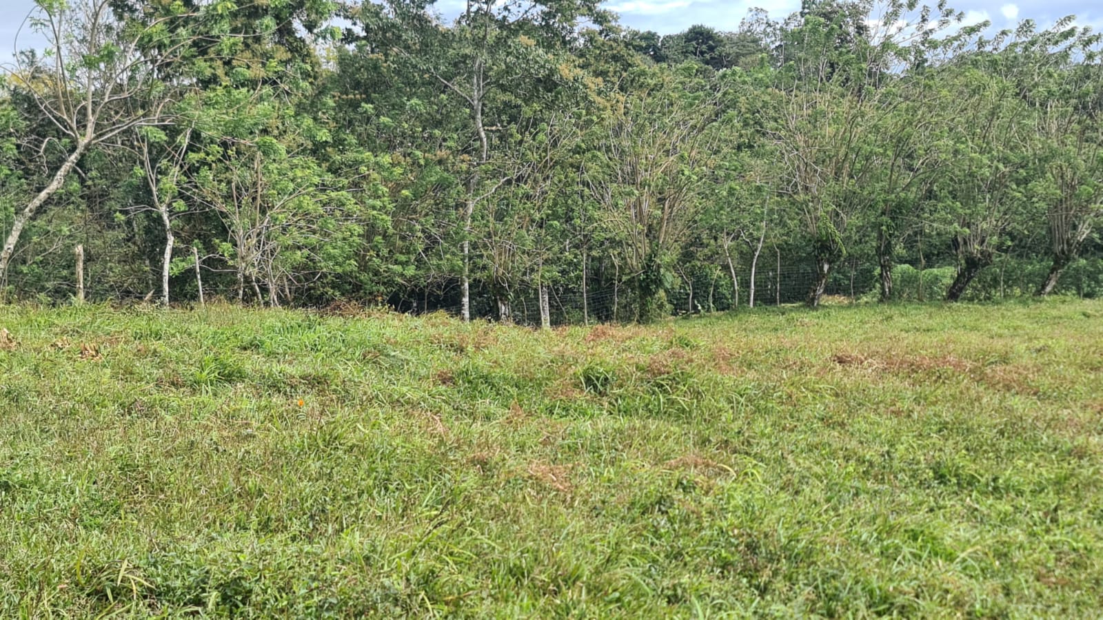 Fabulous, 5000 m2, Lake View Lot near Downtown Nuevo Arenal photo 12