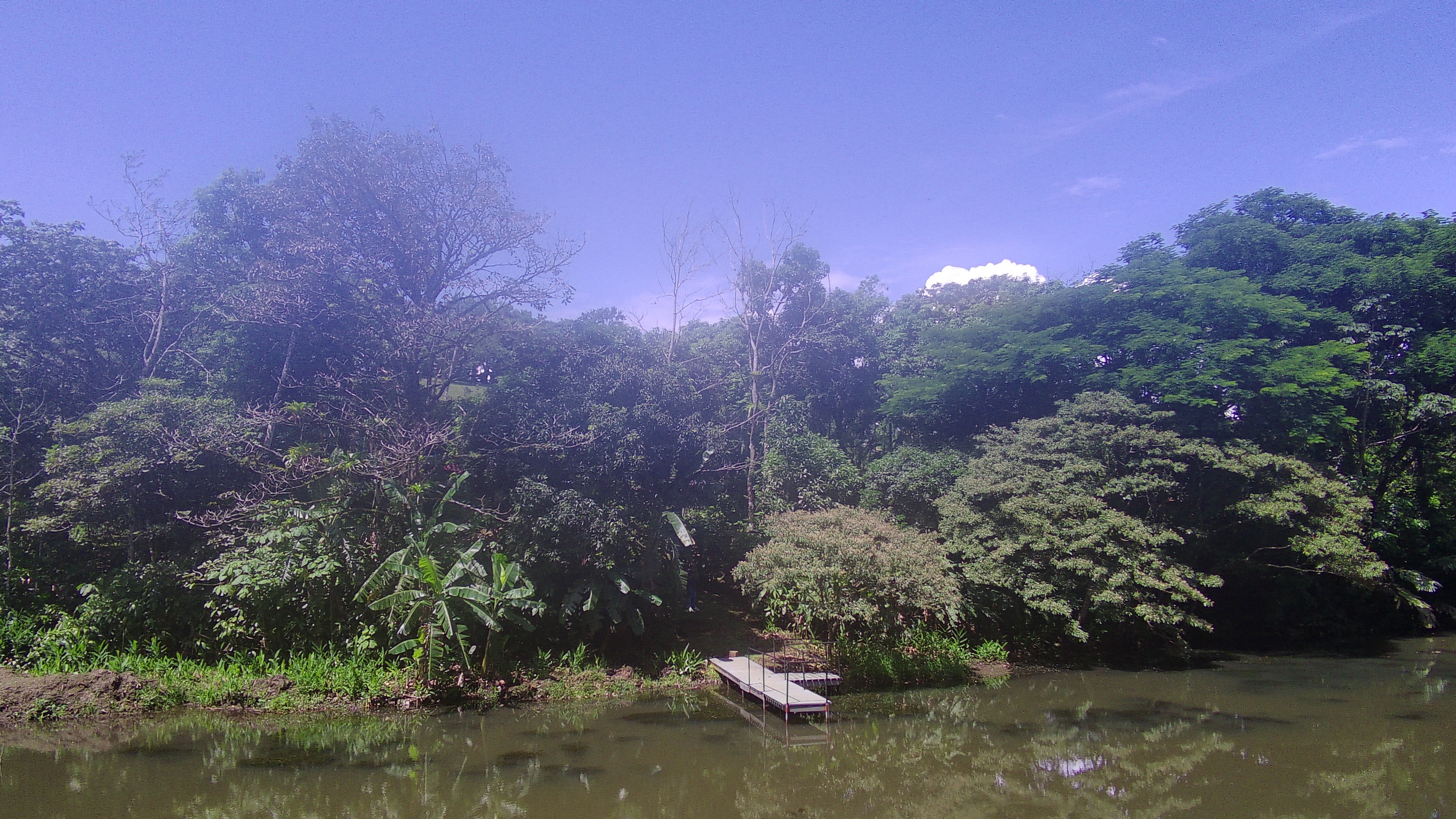 Beautiful Home 2BD 1BA in a 19424.9 m2 (4.8 Acre) Lot w/ Private Spring  photo 24