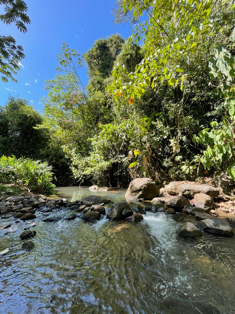 Commercial Space, Cabins, & Retreats: A Nature Haven w/ Riverfront Serenity photo 29