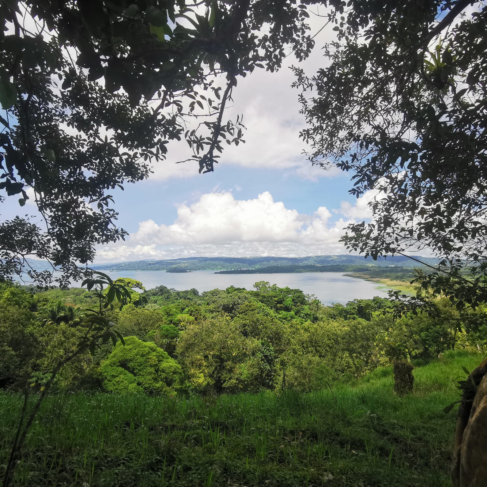 Exceptional Lake and Volcano View Property in El Castillo, San Carlos  photo 6