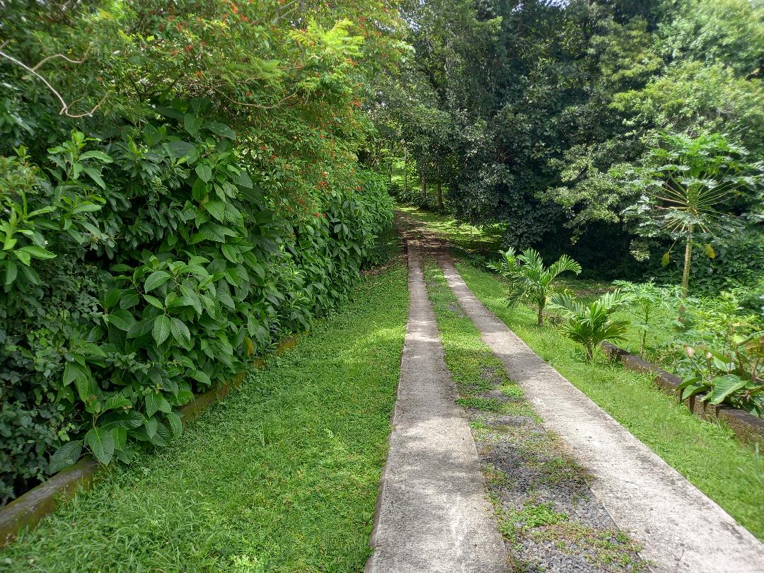 Tranquility Defined – Stunning Home with Lake & Volcano Views on 8.2 Acres photo 31