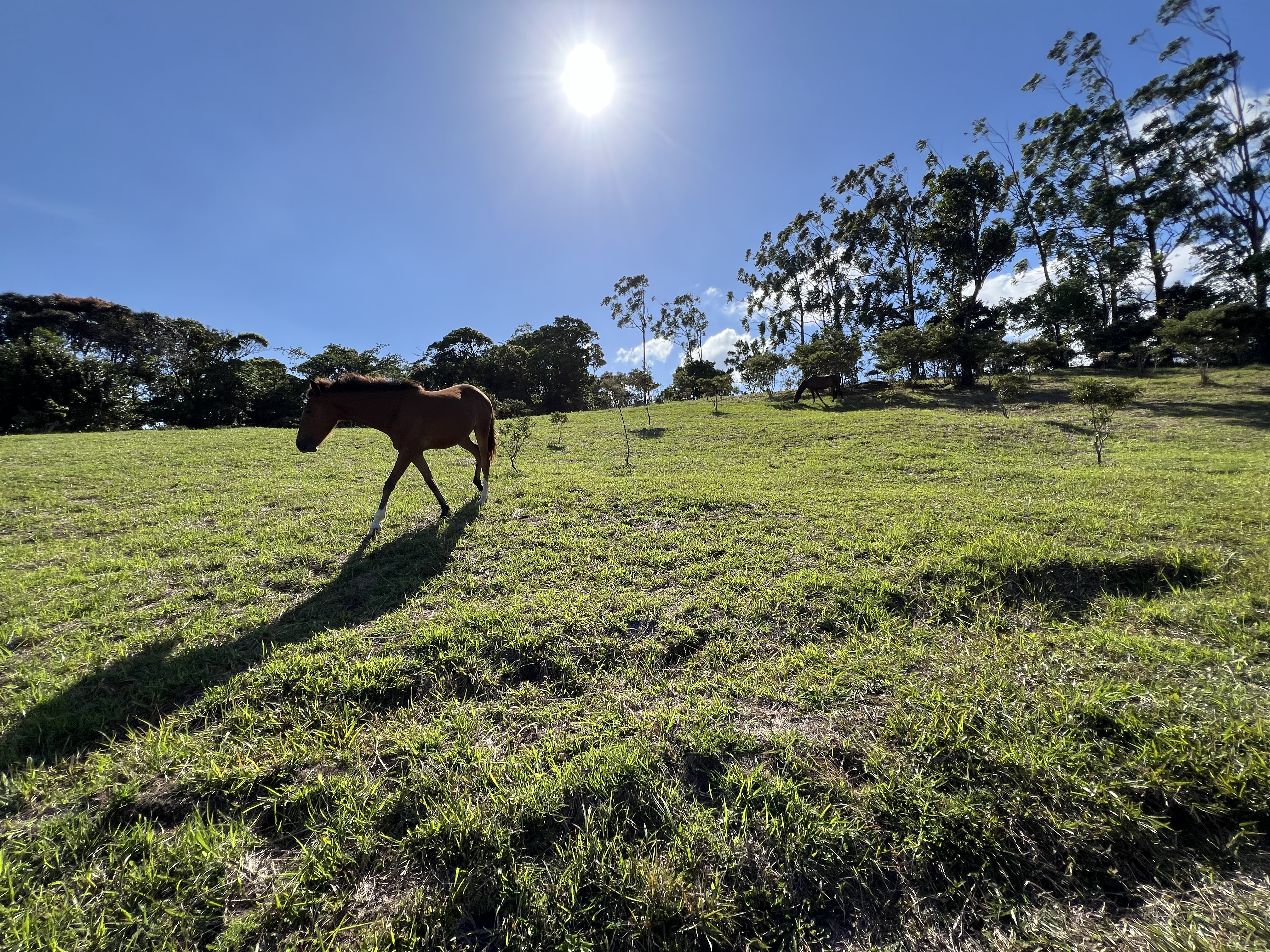2.26 Acre Lot with Stunning Views Of Lake Arenal and Volcano in Nuevo Arenal  photo 27