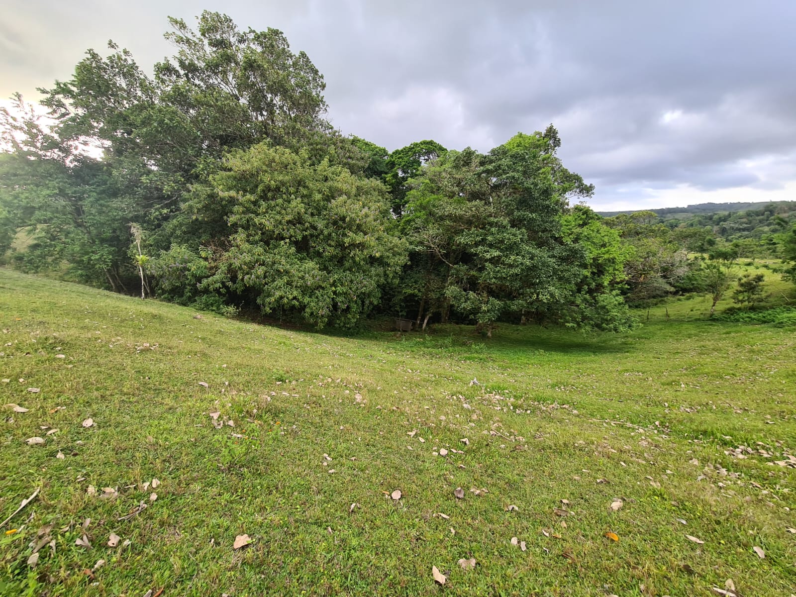 16-Hectare Farm with a Private Well and Views of Lake Arenal in Nuevo Arenal photo 6