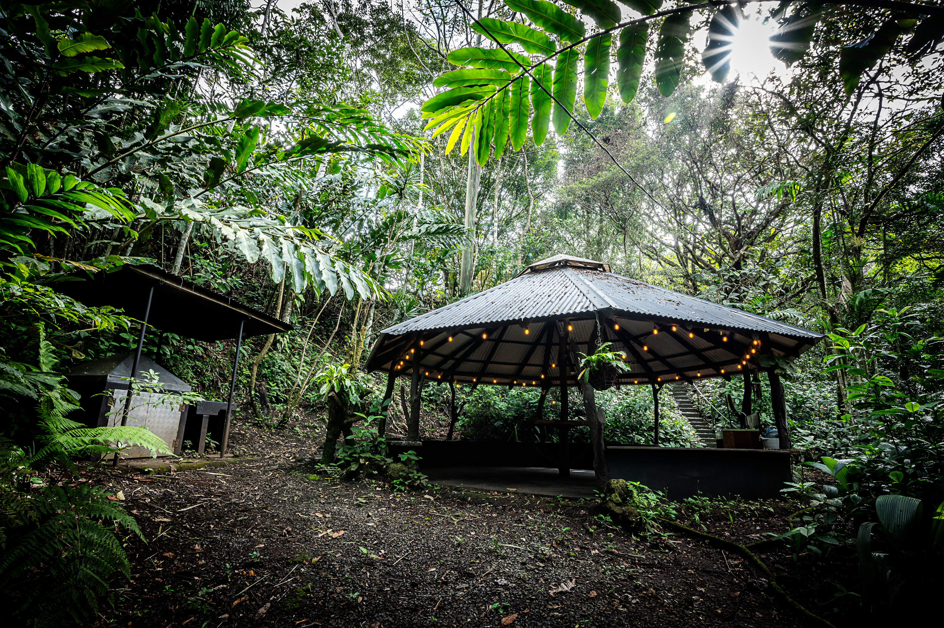 Spacious Arenal View Home with Cabins, Pavilion & Nature Trails  photo 49