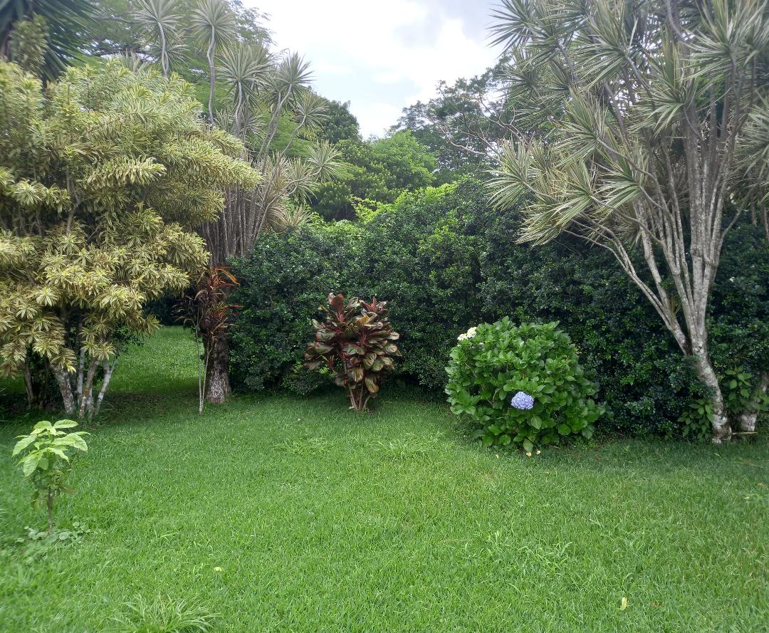 Tranquility Defined – Stunning Home with Lake & Volcano Views on 8.2 Acres photo 48