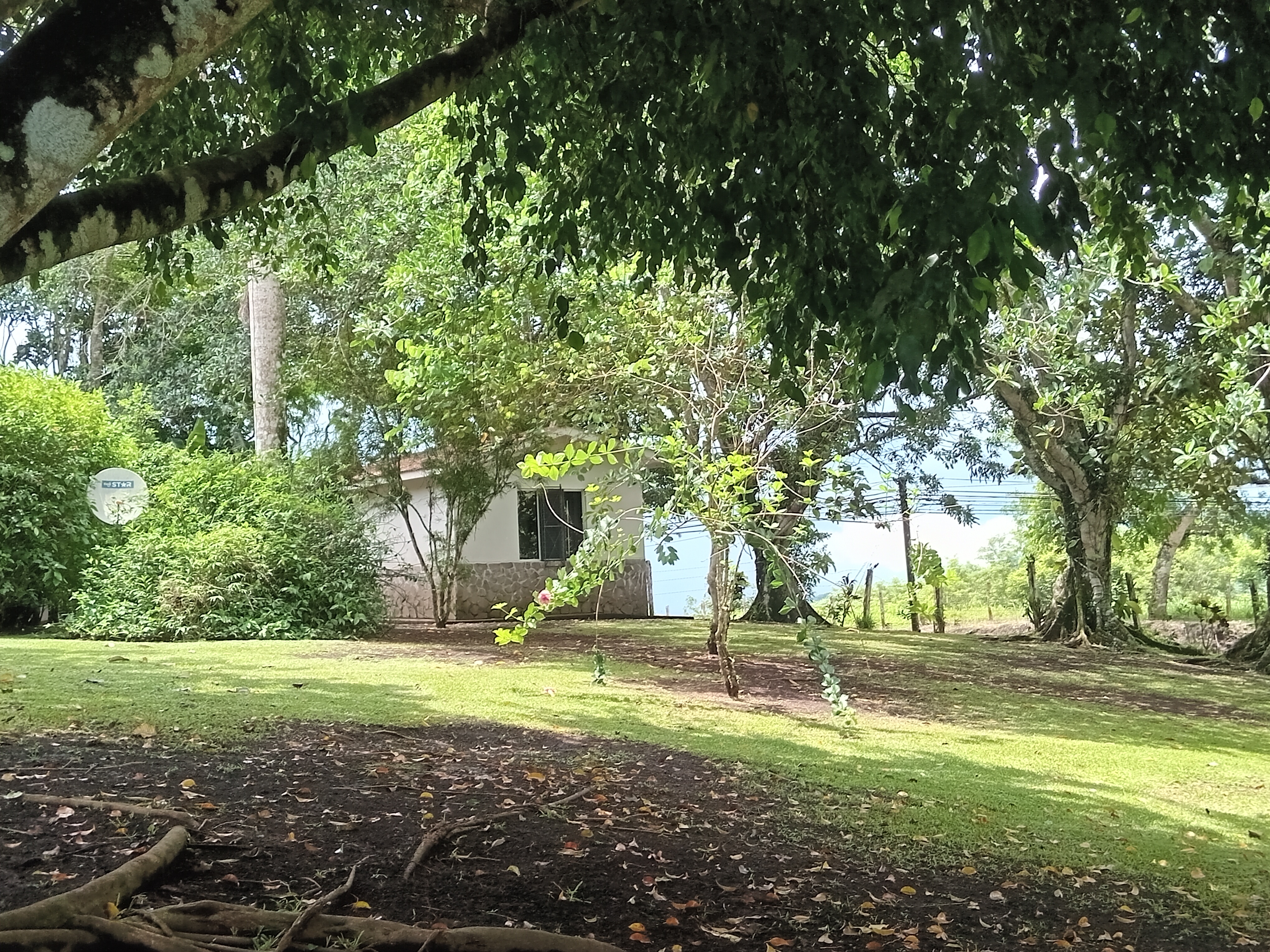 Commercial property: main house + 5 cabins + greenhouse + stable in Cinco Esquinas  photo 43