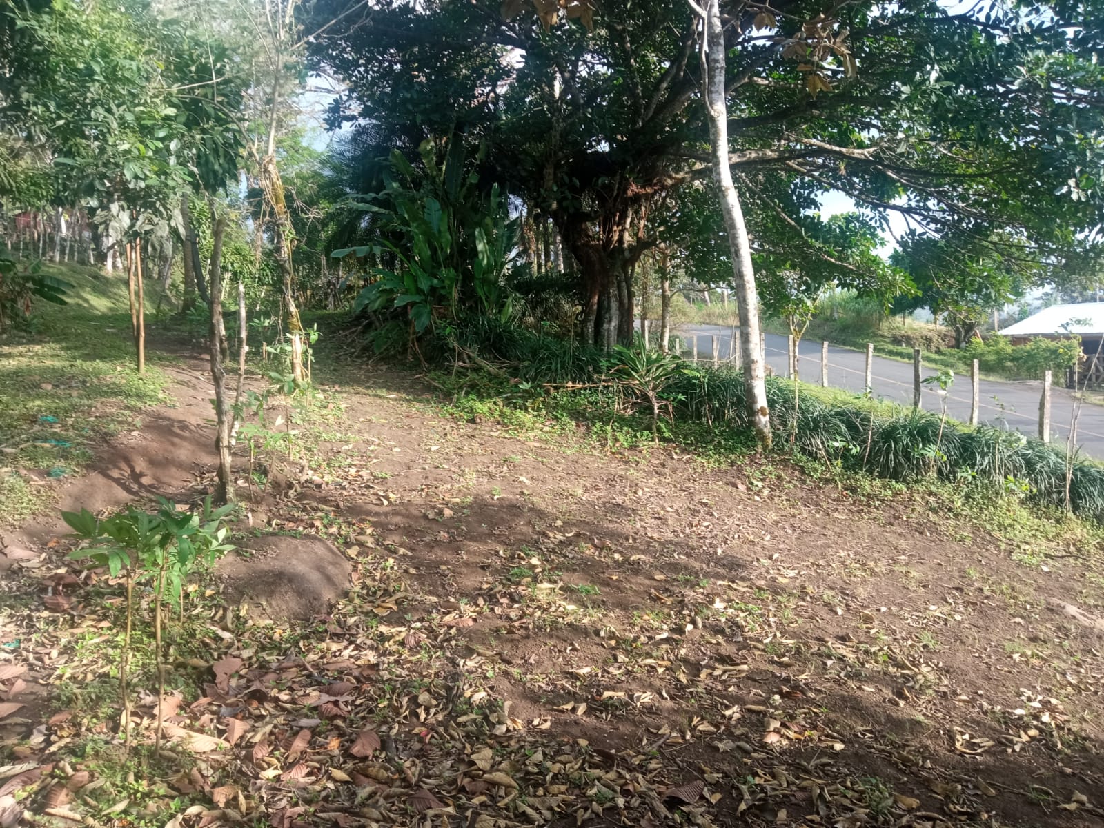 Beautiful, 1407 m2 (0,34 acres) Lot in Parcelas de Quebrada Azul, Tilarán photo 15