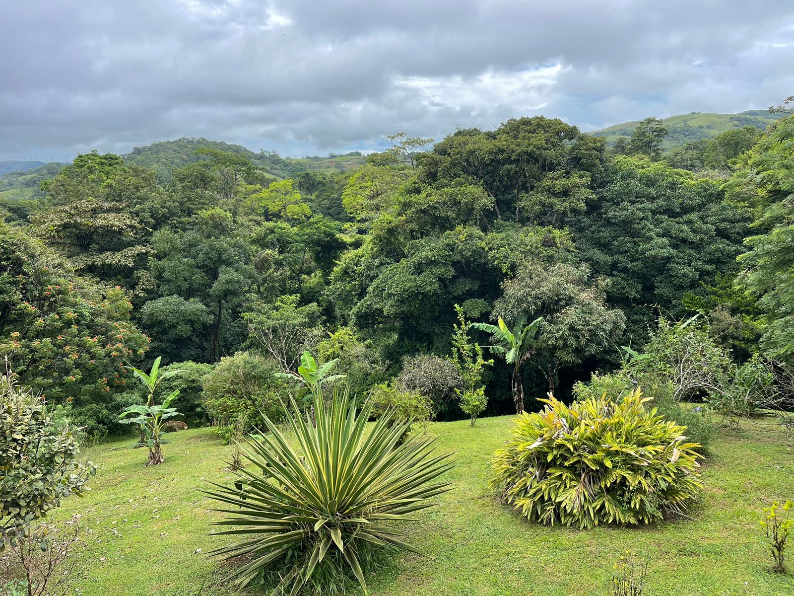 Charming 132 m² Home on 5,000 m² Lot w/ Creek in a Gated Community photo 26