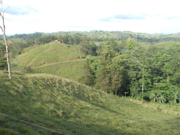 168 acres (68 hectares) of natural peace and tranquility with four cabins photo 20