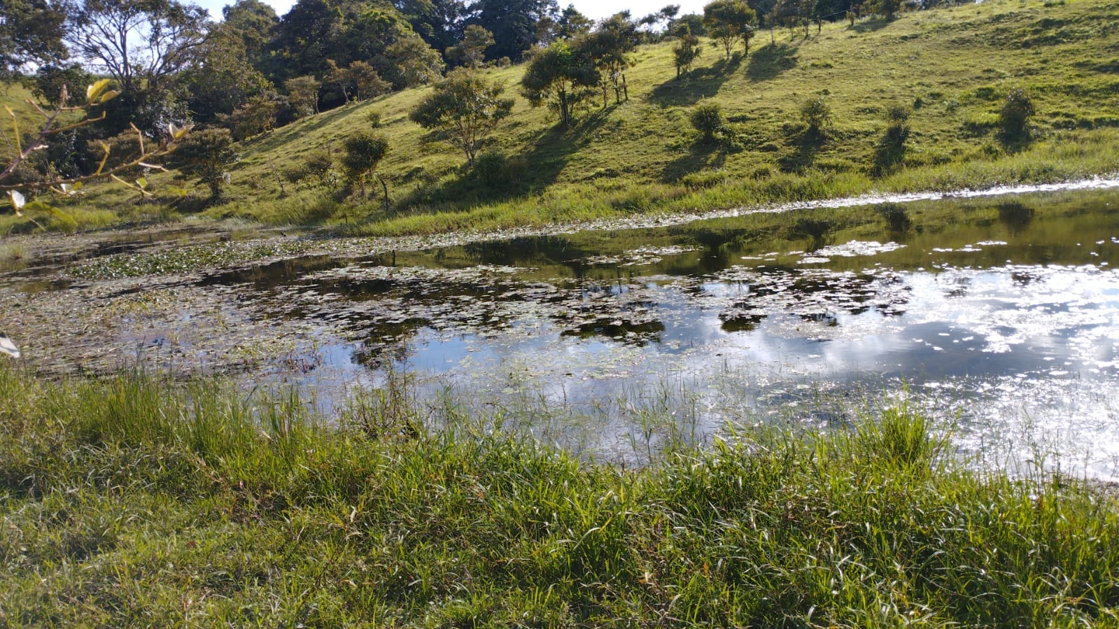 16-Hectare Farm with a Private Well and Views of Lake Arenal in Nuevo Arenal photo 8