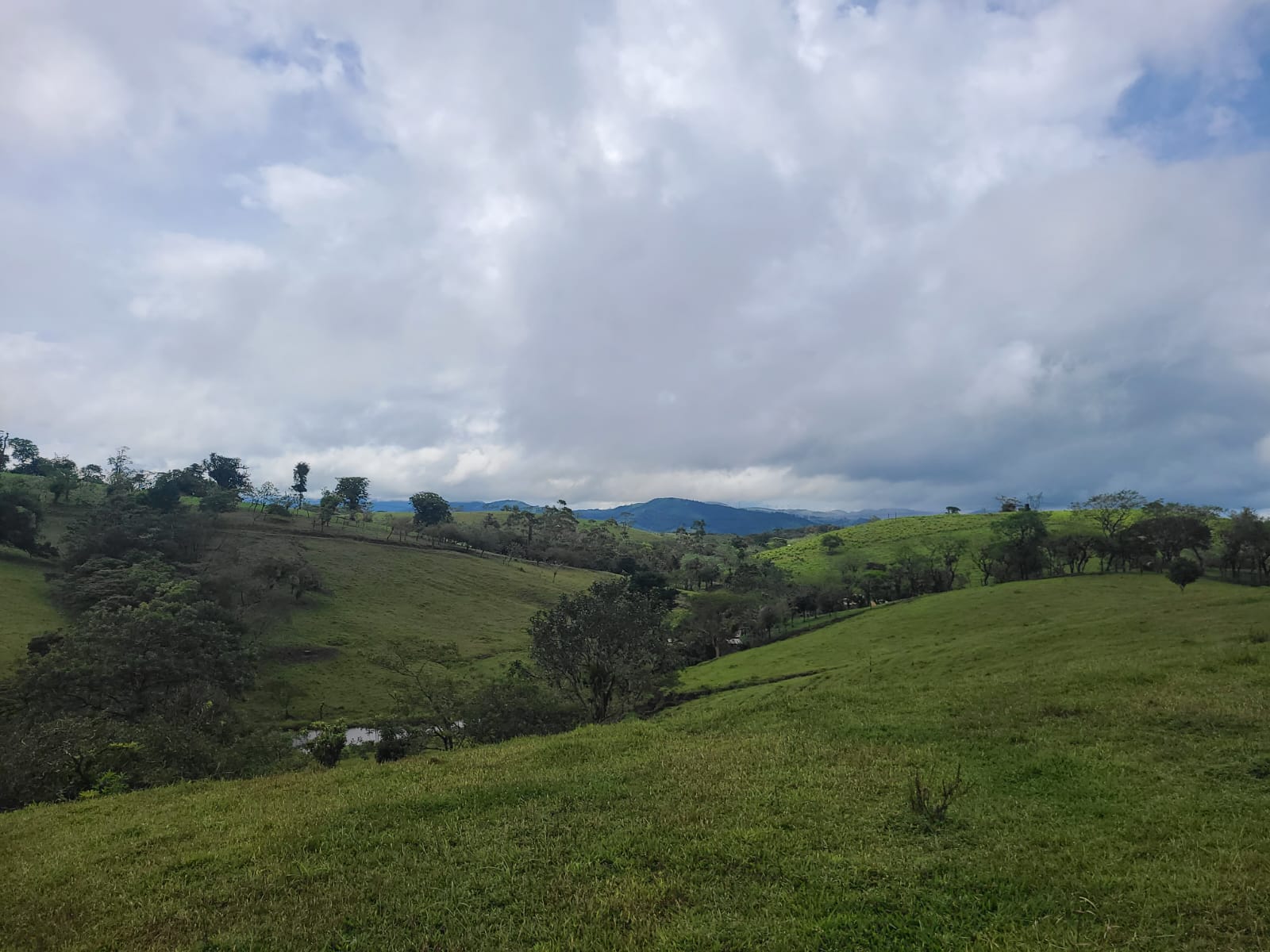 Spectacular 105-Hectare Lot with Lakes, Mountain Views, & Natural Resources  photo 8