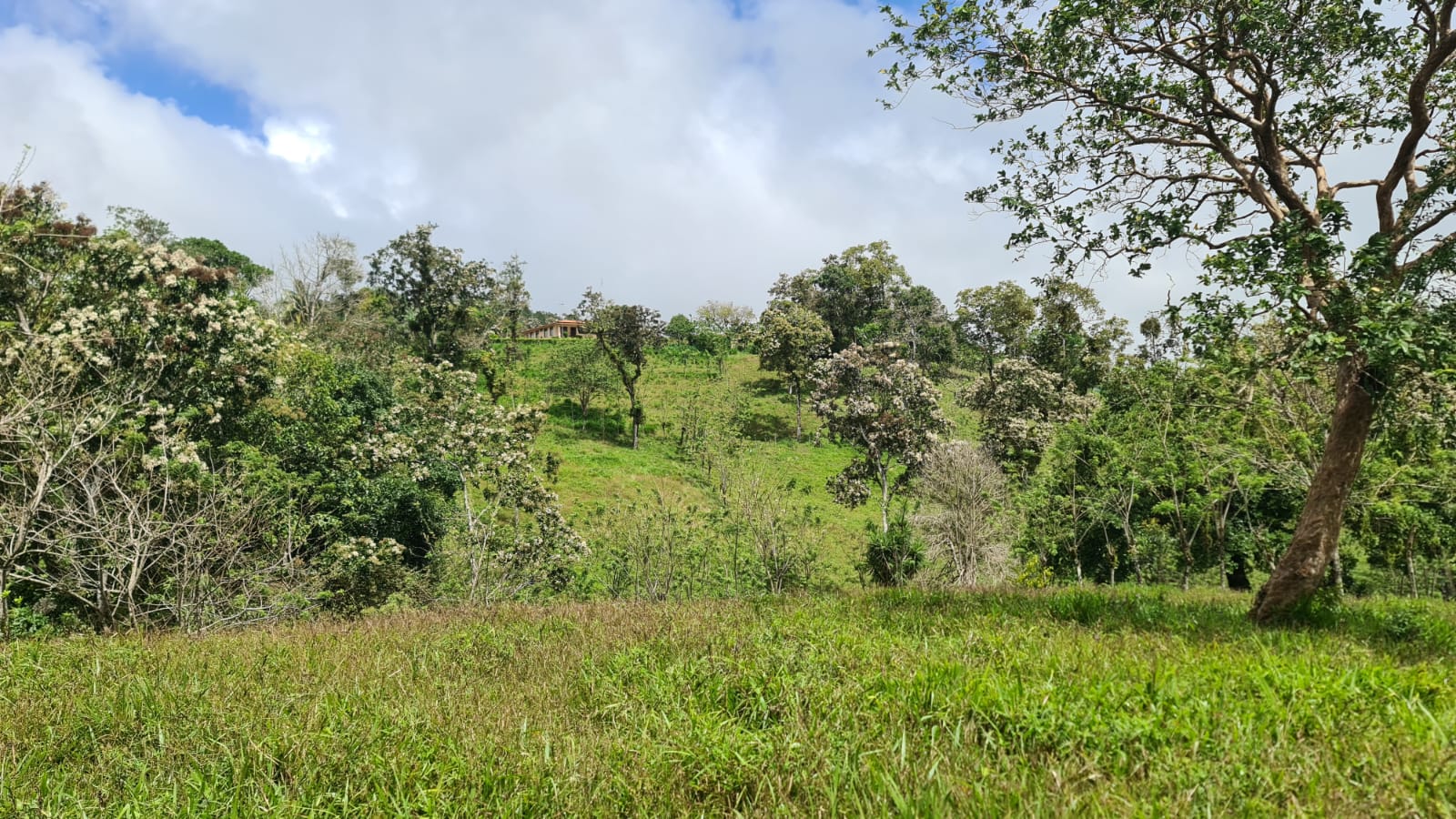 Beautiful, LAKE ACCESS property in Parcelas Santa Maria, Nuevo Arenal  photo 32