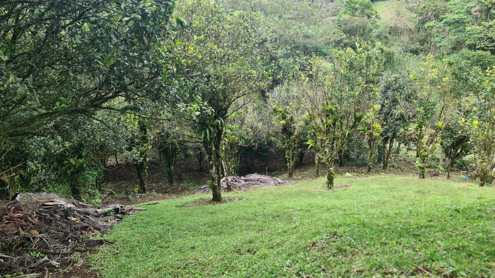 Lovely, 2625 M2 (0.64 acres) Lot in Mata de Caña, Nuevo Arenal photo 9