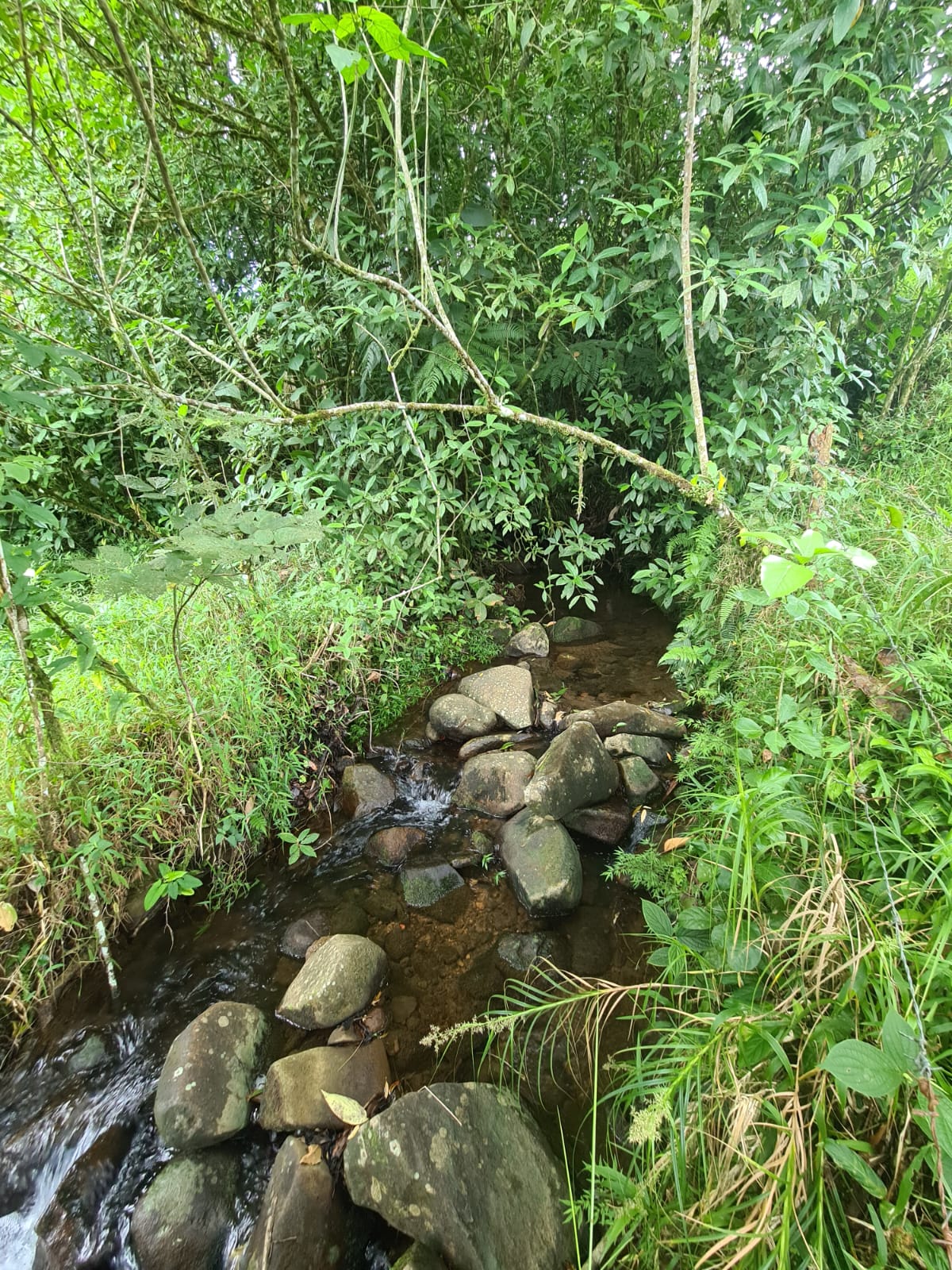 81,500 m2 (20.13 Acre) Lot with Lake and Volcano View in Nuevo Arenal photo 17