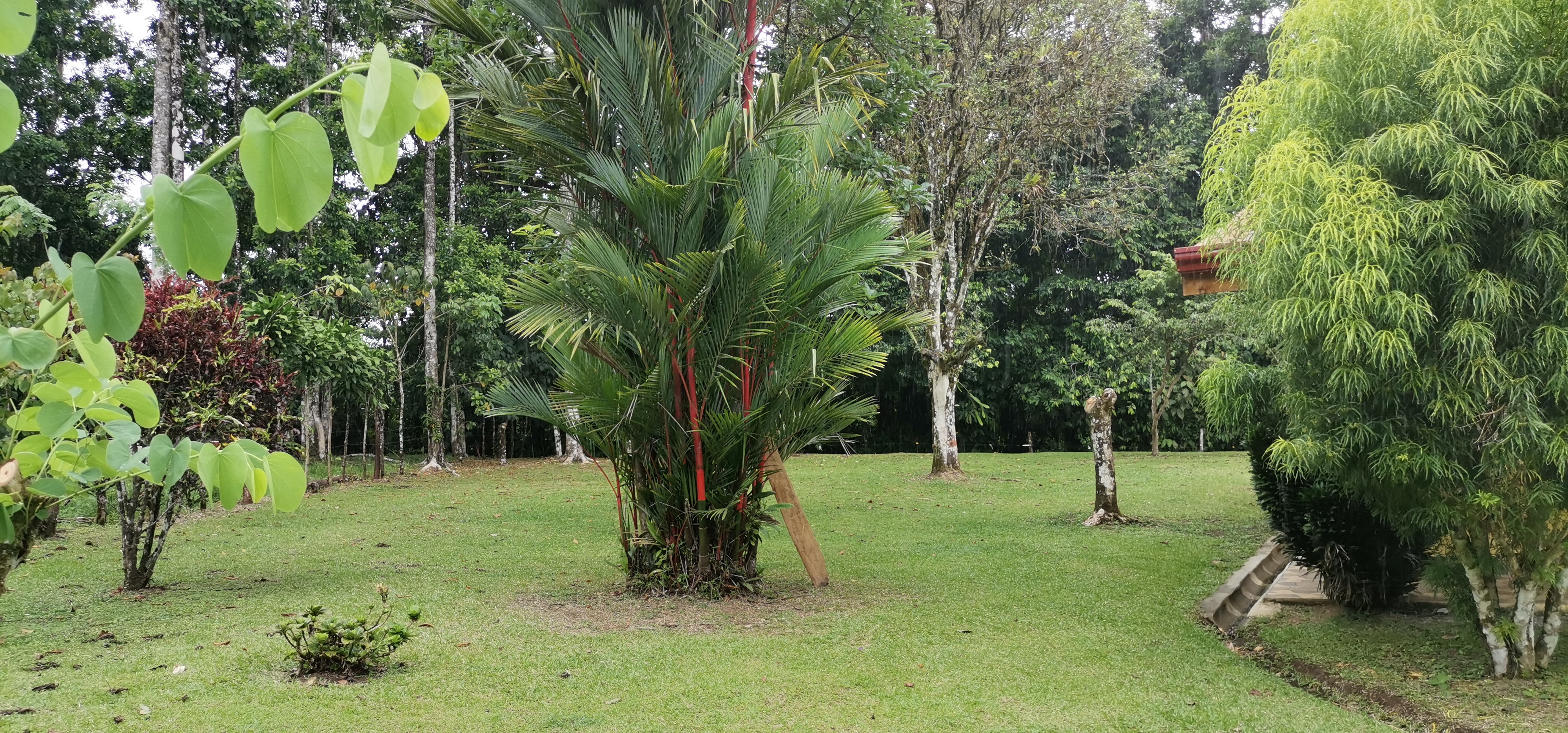 Fully Furnished 2 Bedroom 2 Bathroom Home On Cote River  photo 26