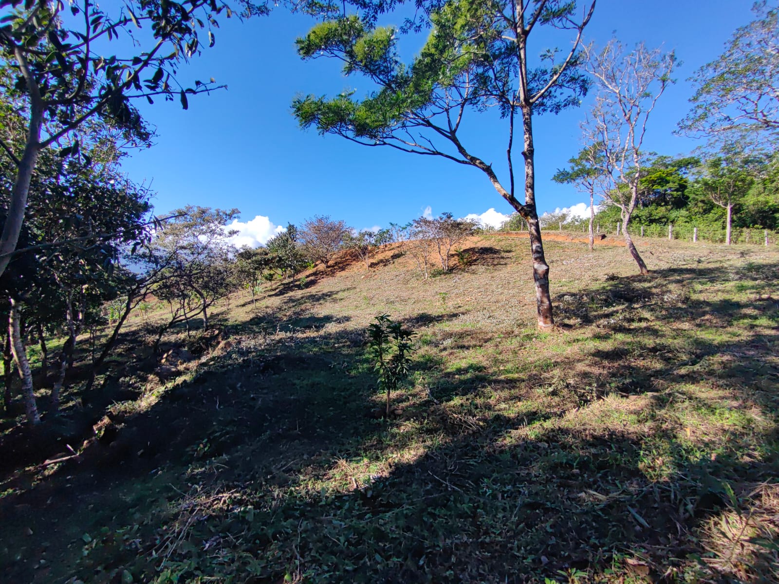 2500 m2 Ready to build / Beautiful Views & Commercial Potential-Nueva Guatemala photo 7
