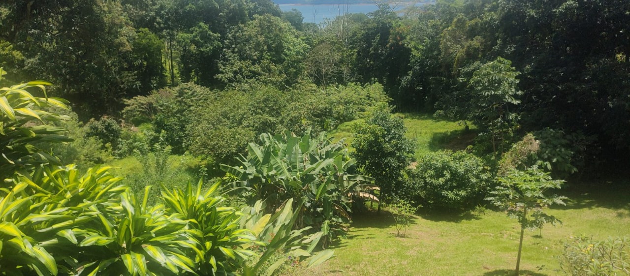 Stunning 2-bedroom, 2-bathroom home with Pool and Lake Arenal Views photo 25