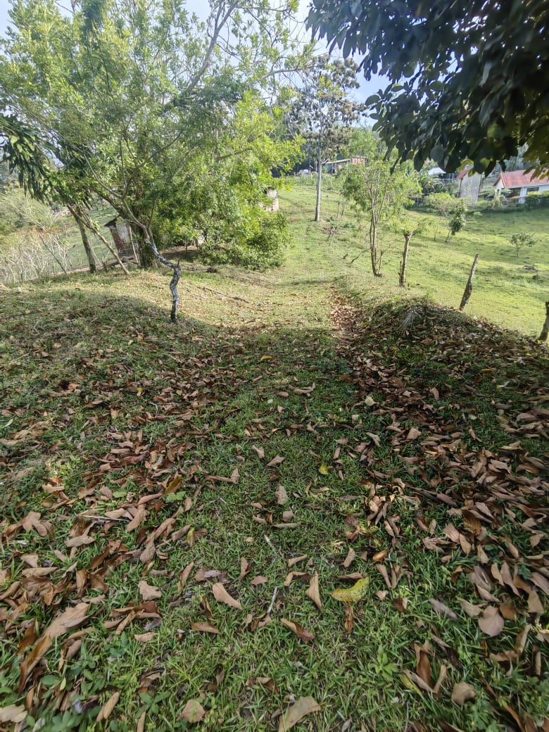 Beautiful Lot of 5461 m2 (1,34 Acre) in downtown Tronadora photo 8