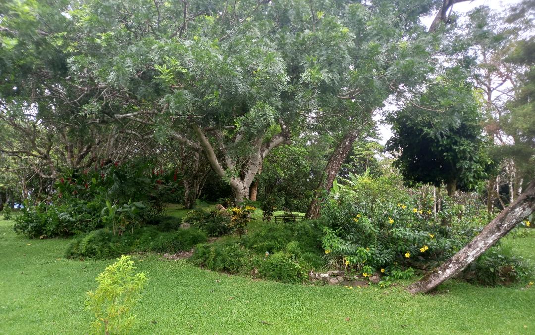 Tranquility Defined – Stunning Home with Lake & Volcano Views on 8.2 Acres photo 46