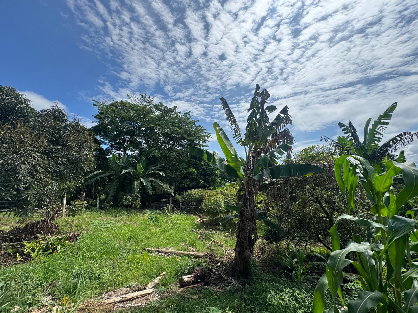 Spacious Home with Lake View and Guest Apartment in Nuevo Arenal photo 18