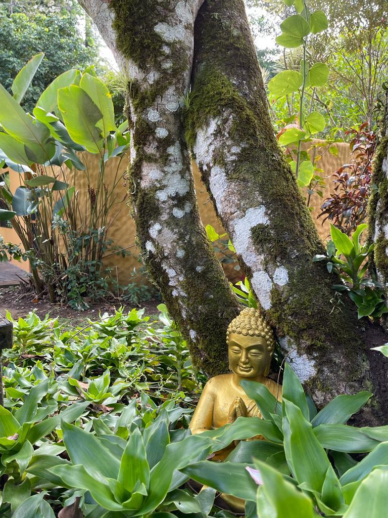 Commercial Space, Cabins, & Retreats: A Nature Haven w/ Riverfront Serenity photo 28