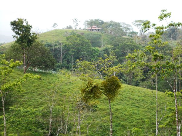 168 acres (68 hectares) of natural peace and tranquility with four cabins photo 22