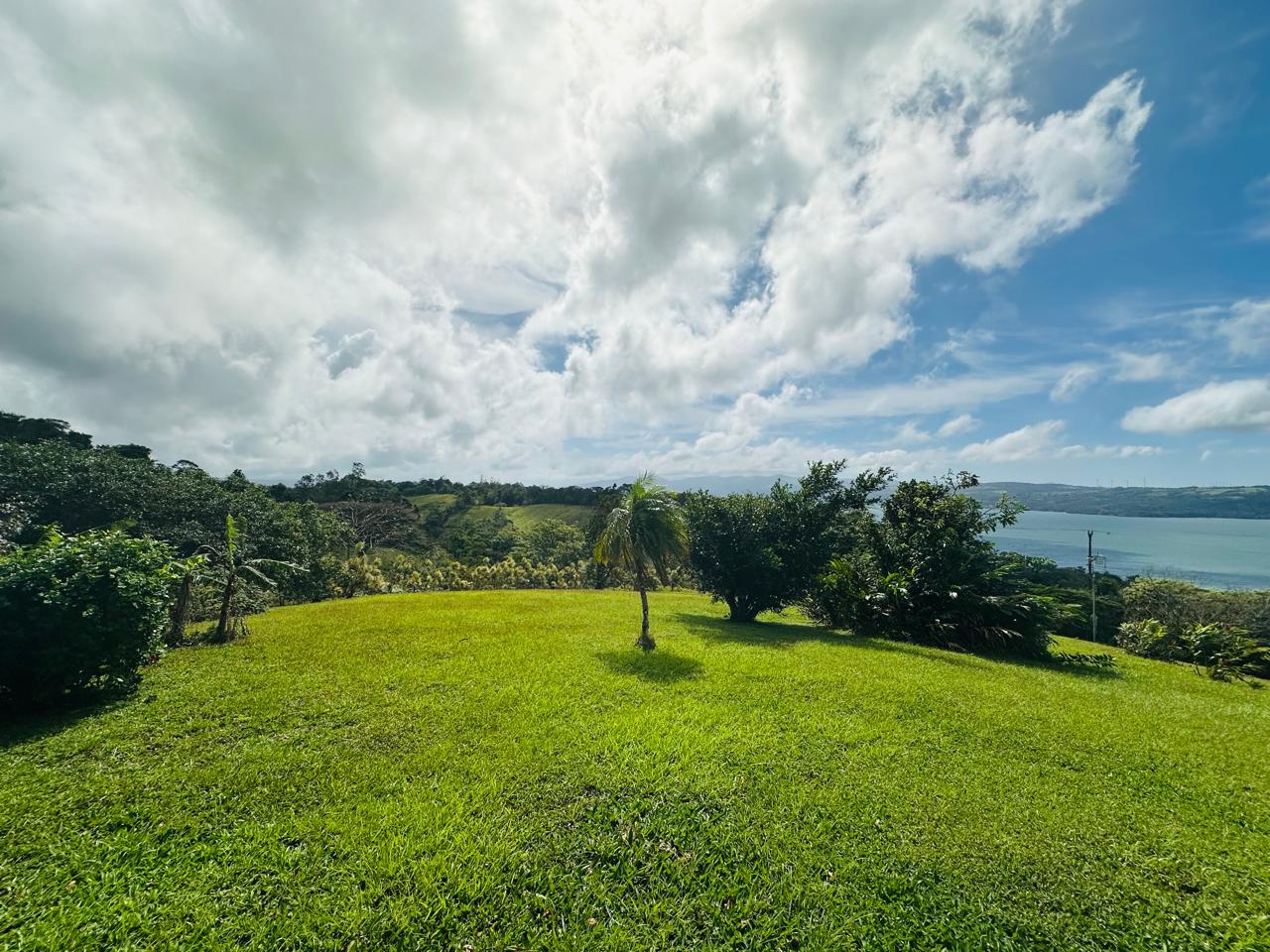 Spacious Home with Guest House, Stunning Views & Natural Beauty In Rio Piedras  photo 21