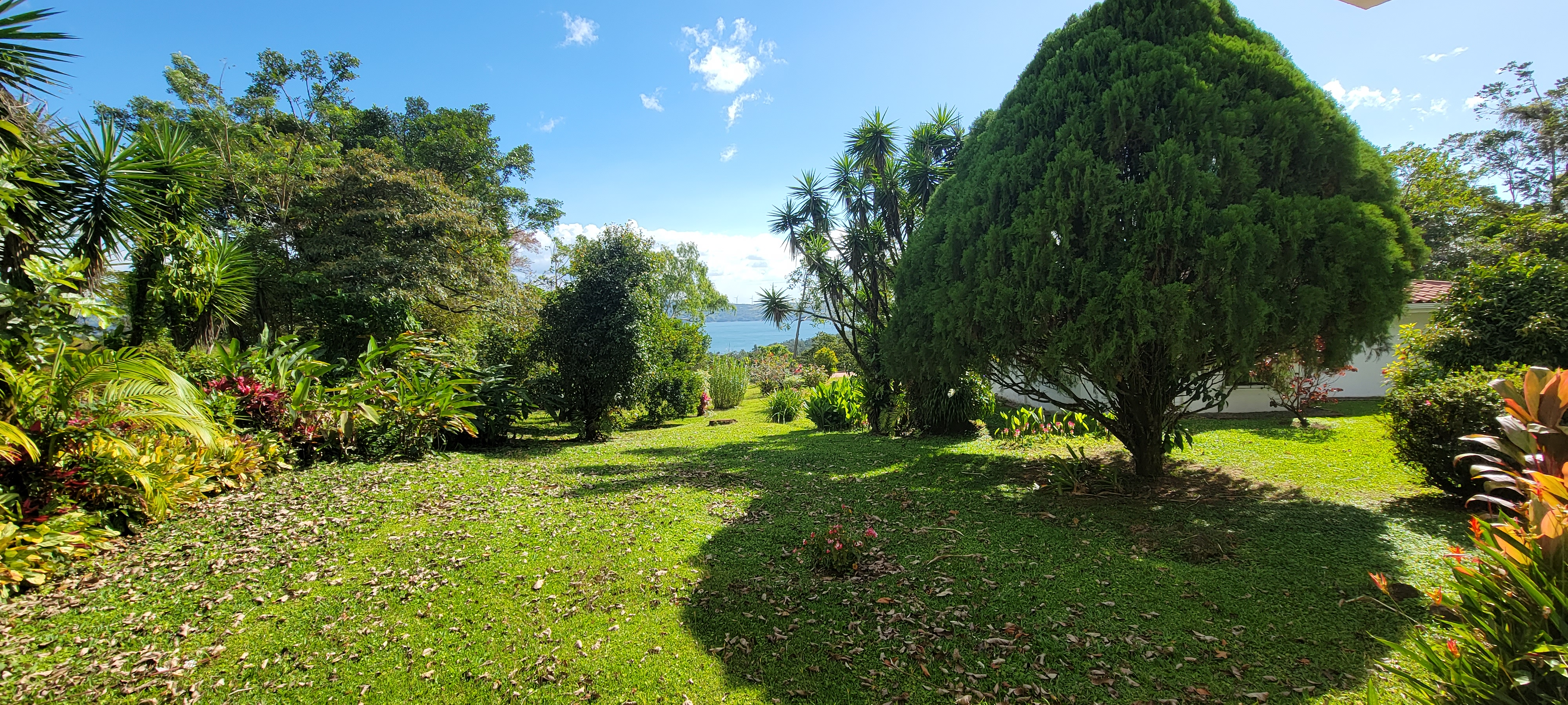 Beautiful 3 BD 2 BA Home in a 8 Acre Lot with Pool and Lake View photo 29