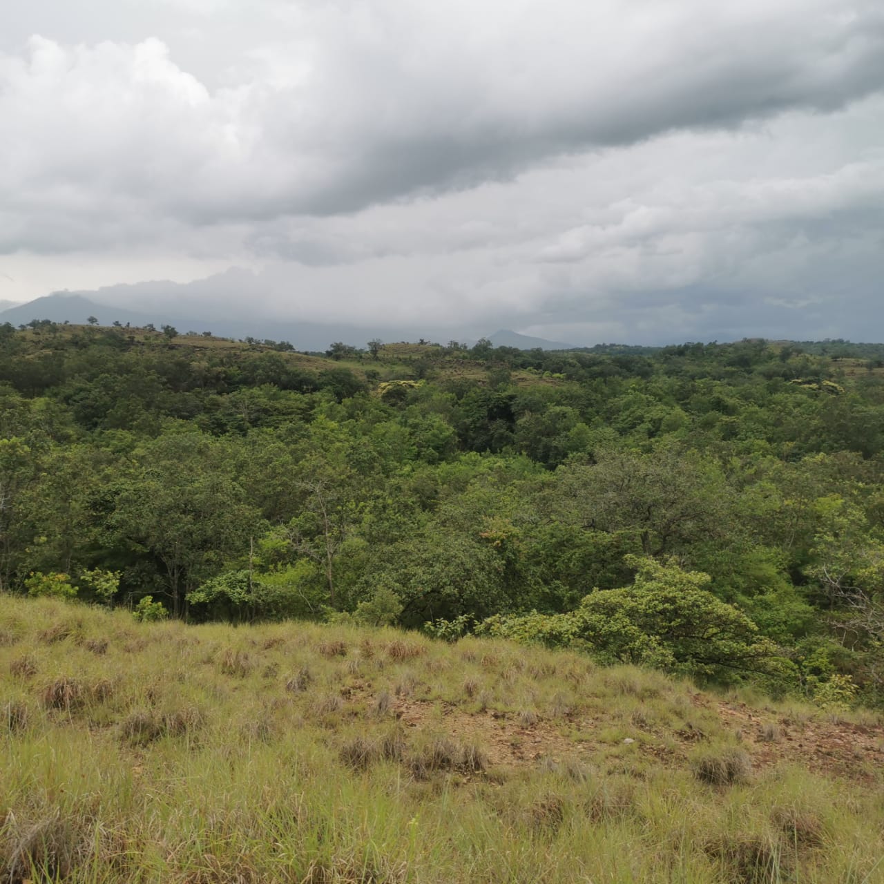 Private 26,000 m² Lot w/ Panoramic Views & Natural Water Source in Bagaces photo 9