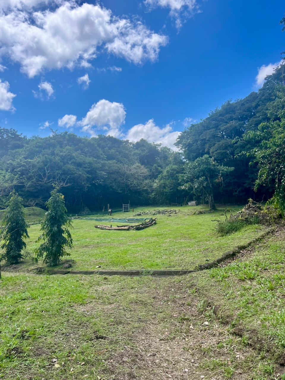 Commercial Property with Expansive Space and Breathtaking Mountain Views  photo 11