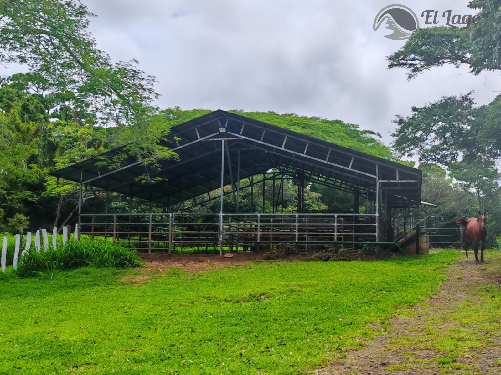 Luxury Estate w/ 8 BD, 9 BA, Private Forest, and Development Potential photo 85