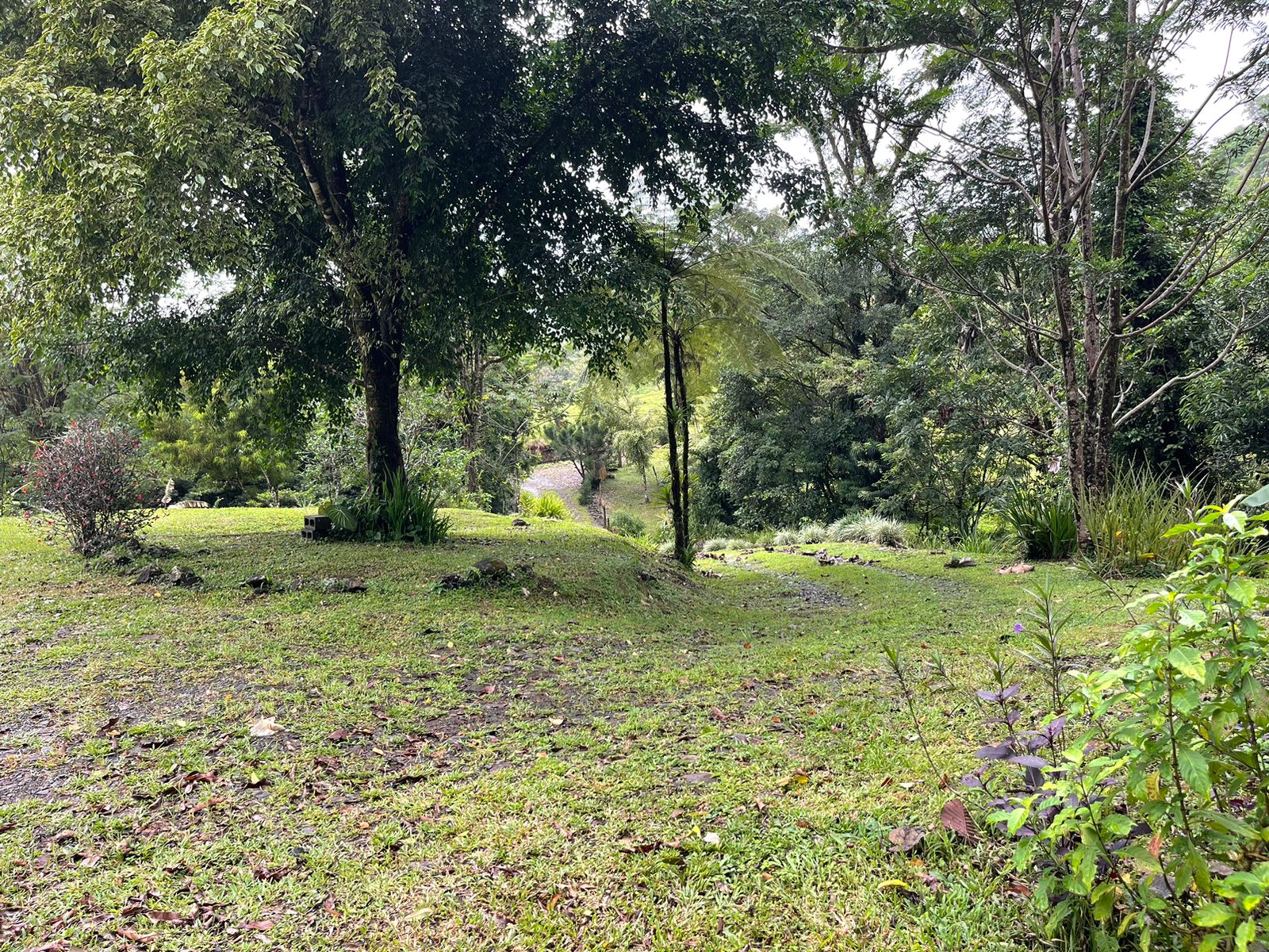 Charming 132 m² Home on 5,000 m² Lot w/ Creek in a Gated Community photo 28