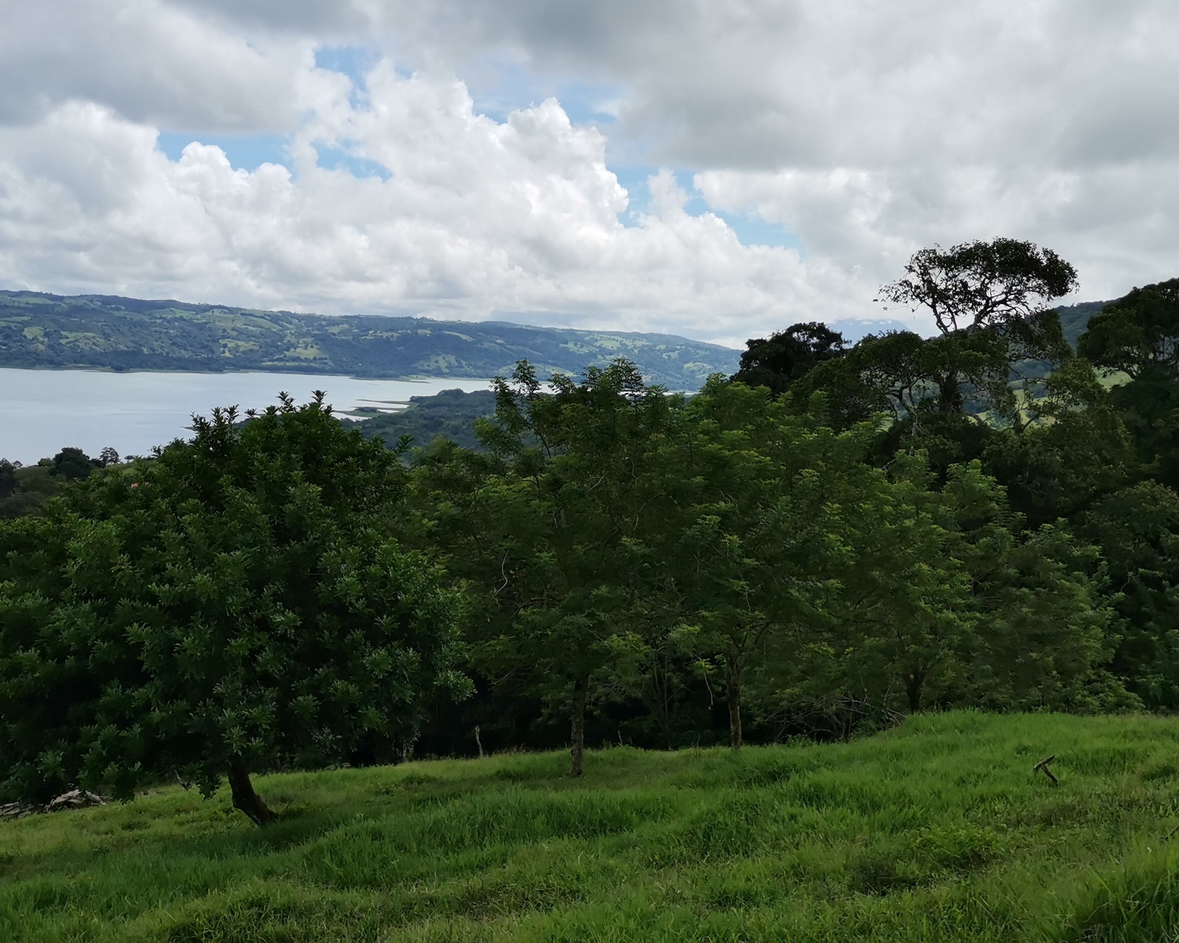 Magnificent 24,811m2 Lake and Volcano View Parcel with Huge Views in Tronadora photo 15