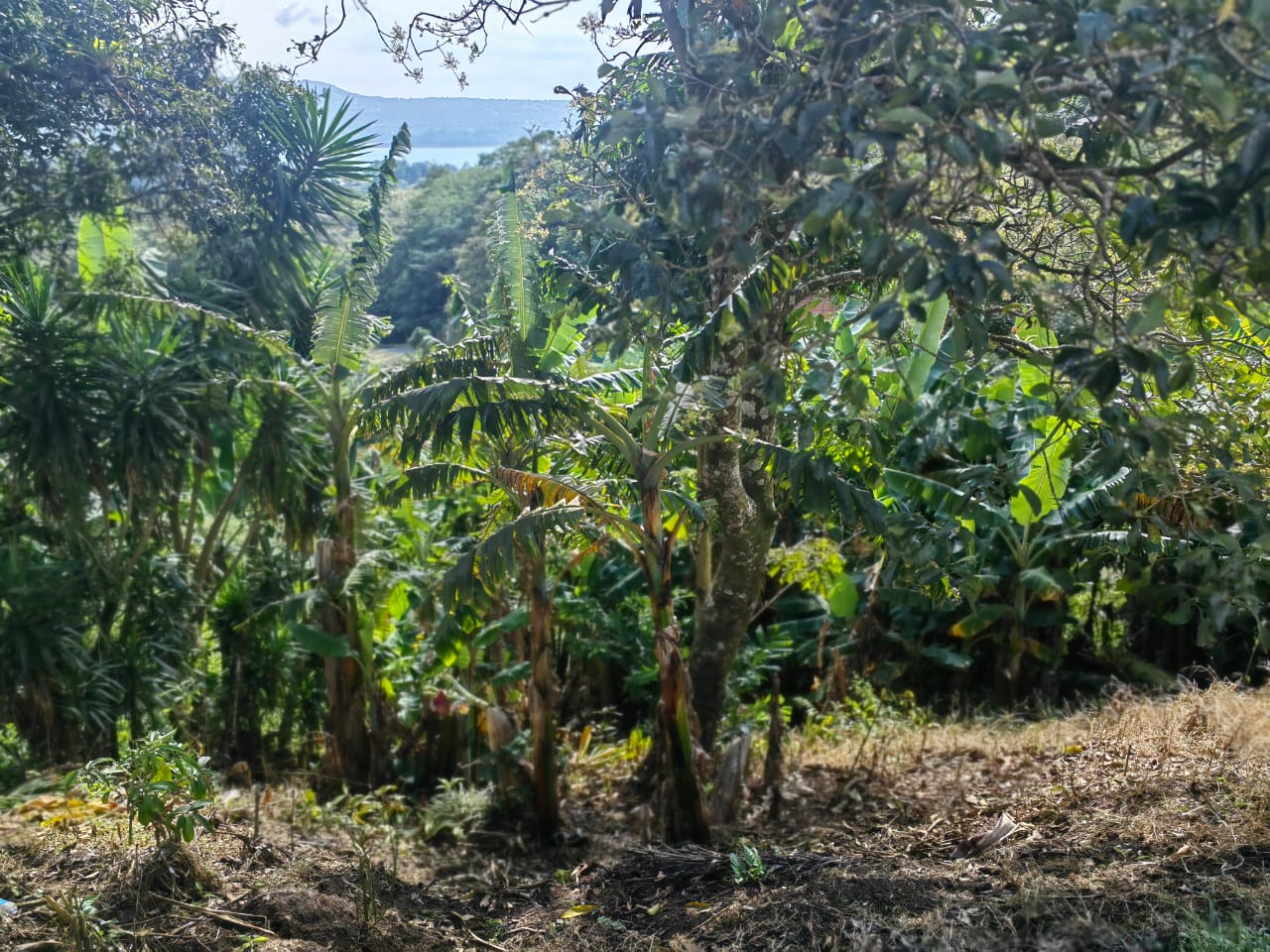 Lovely 3BD, 2BA Lake & Volcano View Home Walking Distance to Everything photo 20