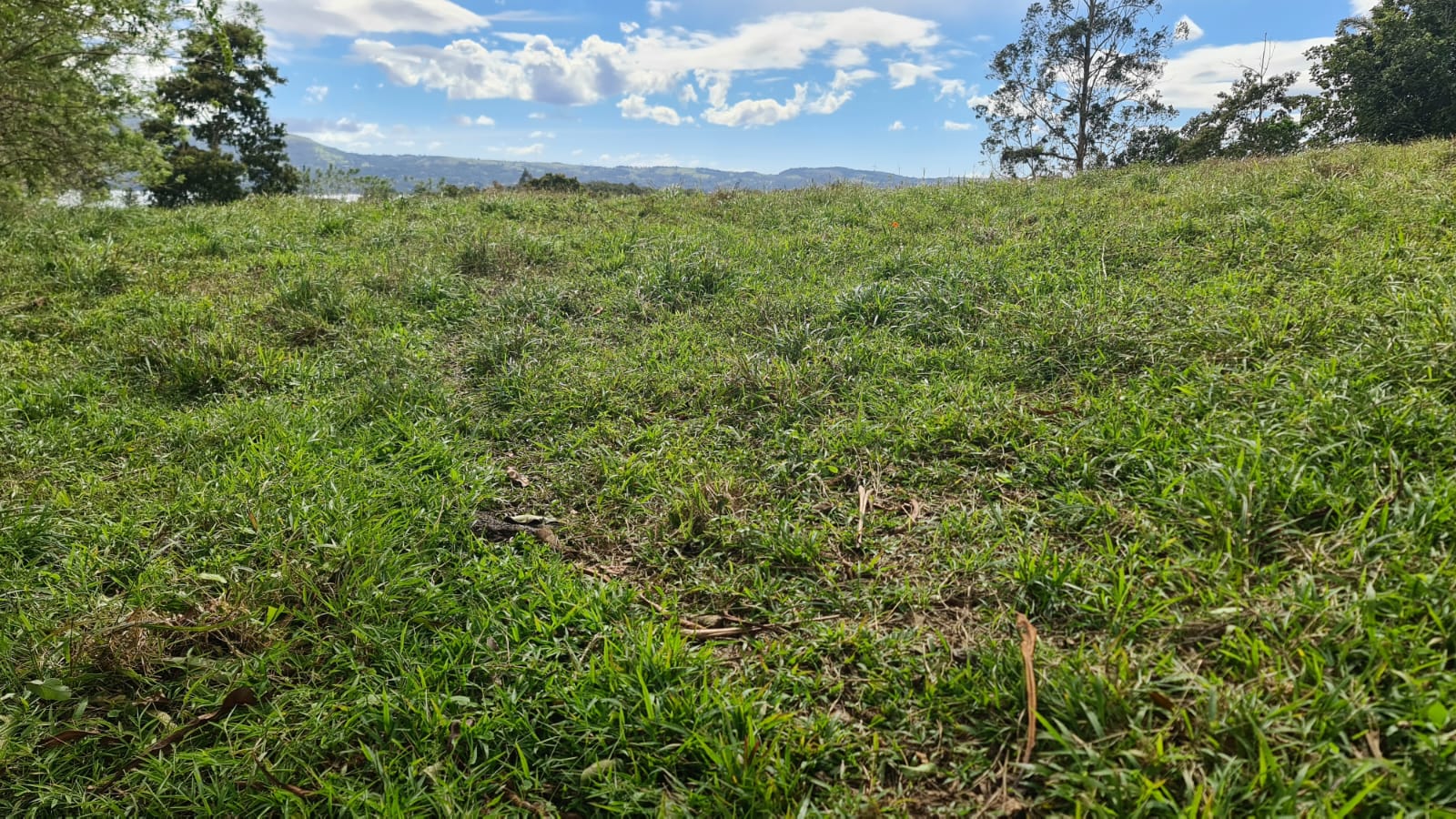 Fabulous, 5000 m2, Lake View Lot near Downtown Nuevo Arenal photo 7