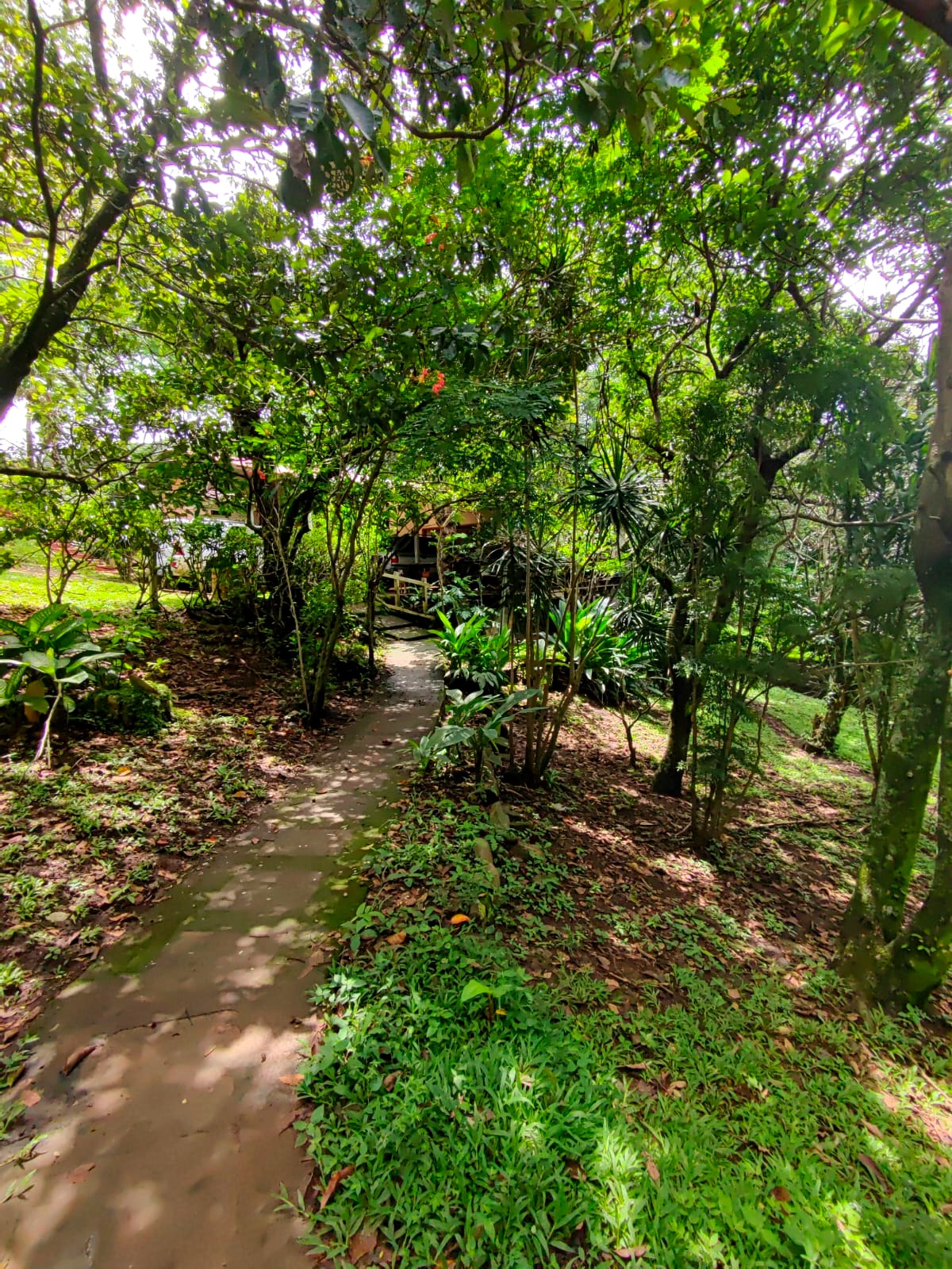 Touristic Complex w/Restaurant, Pools, Cabins, House and more!  photo 11