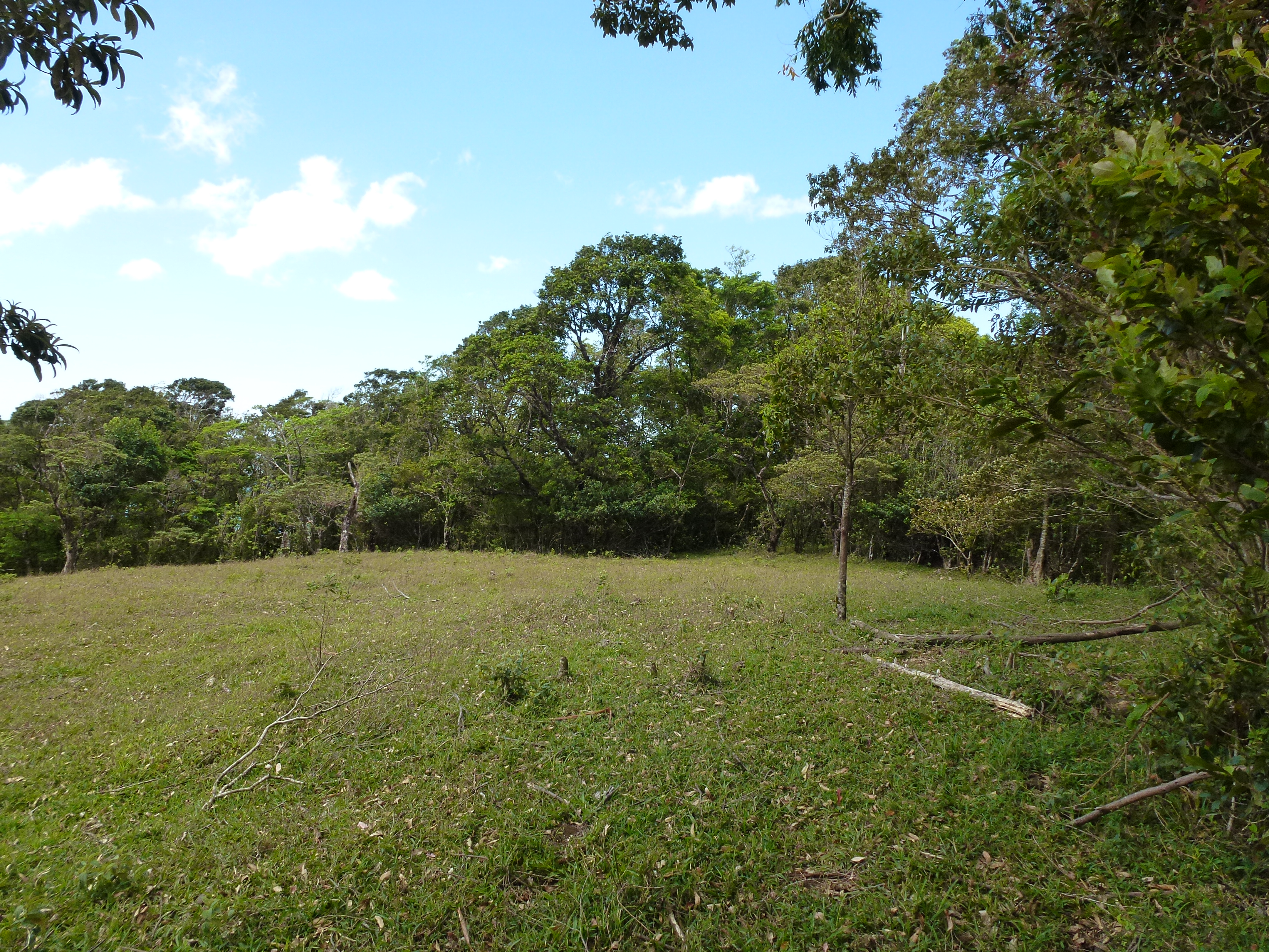 2.26 Acre Lot with Stunning Views Of Lake Arenal and Volcano in Nuevo Arenal  photo 17