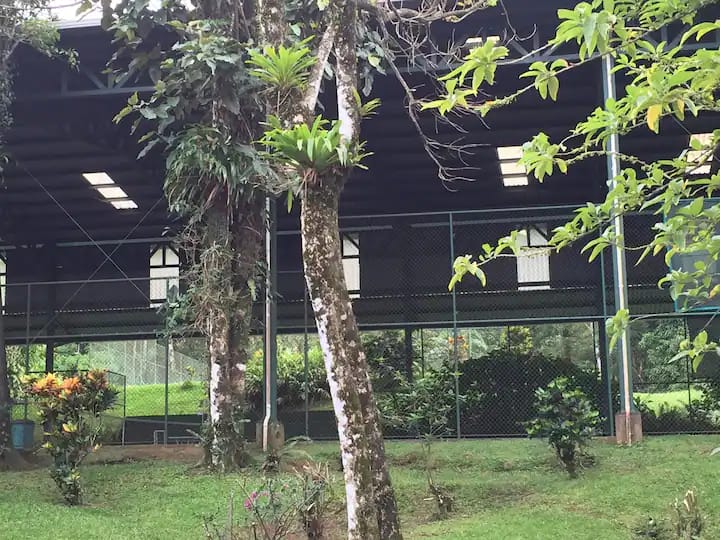 Two Casitas in Gated Community with Swimming Pool and Private Marina photo 10