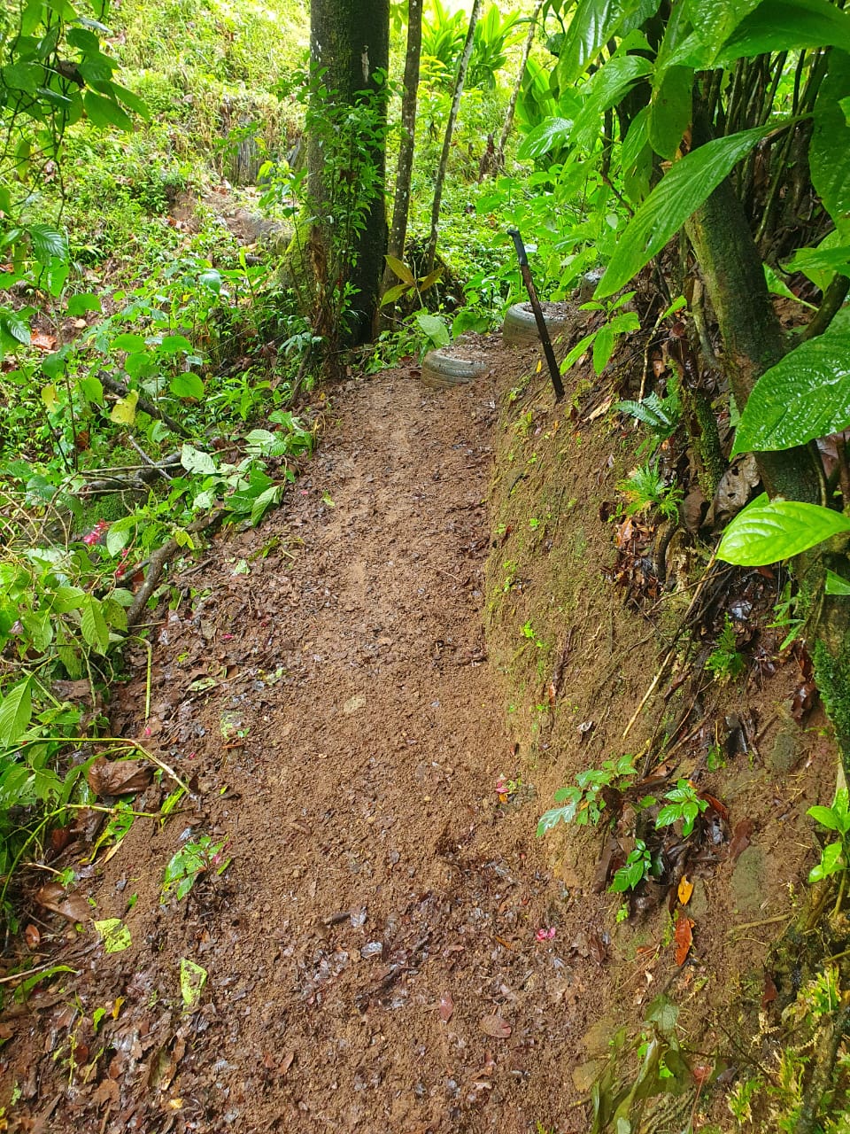 Charming 3-Bedroom Home with Guest House & Stunning Lake Arenal Views  photo 38