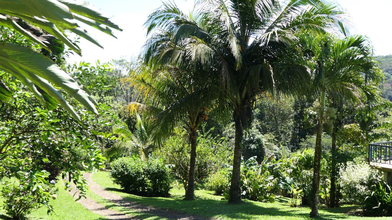 A new beautiful 2 BD/2 BA lake, volcano & rain forest view Casita  photo 37