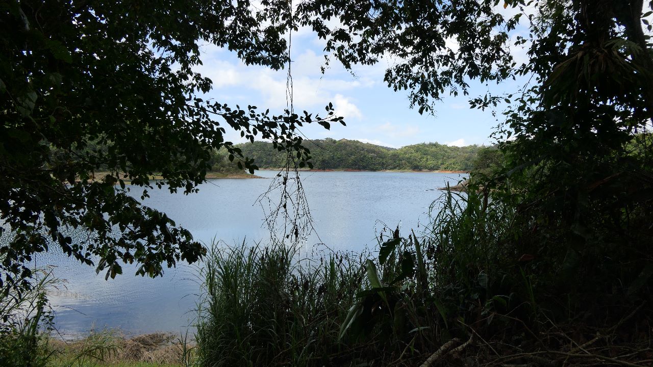 A very unique 1 Bedroom/1 Bathroom Boat House with lake access photo 23